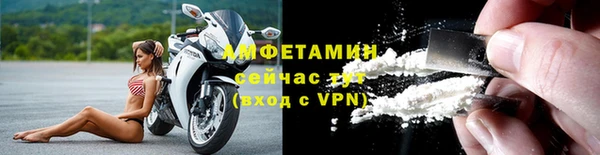 ECSTASY Алзамай