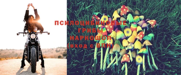 ECSTASY Алзамай